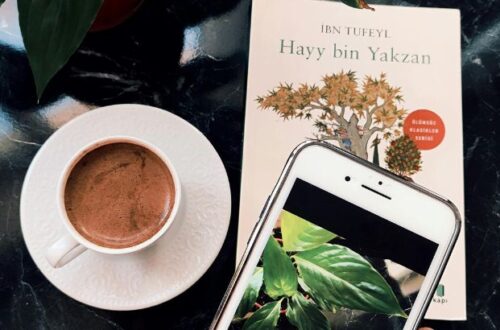 redes sociais para escritores guia pratico para comecar