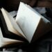 como divulgar um livro e conquistar leitores sem depender apenas da sorte