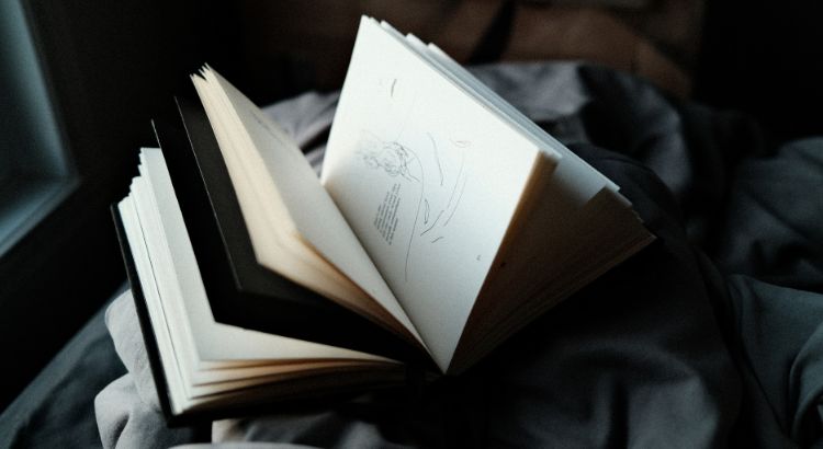 como divulgar um livro e conquistar leitores sem depender apenas da sorte