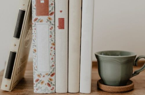 como divulgar um livro no instagram sem transformar seu perfil em um catalogo de anuncios