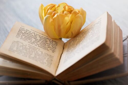 coroa de sonetos a arte de construir poemas que conversam entre si