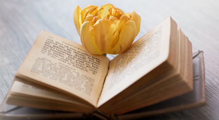 coroa de sonetos a arte de construir poemas que conversam entre si