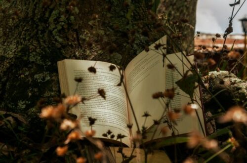 melhores modelos e ferramentas para criar capas de livros