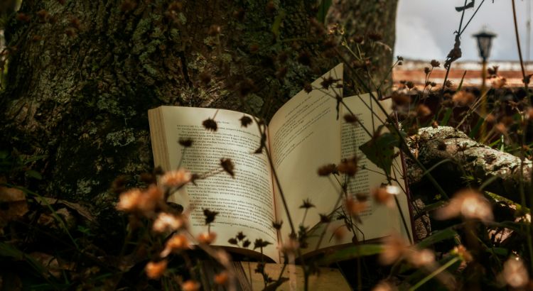 melhores modelos e ferramentas para criar capas de livros